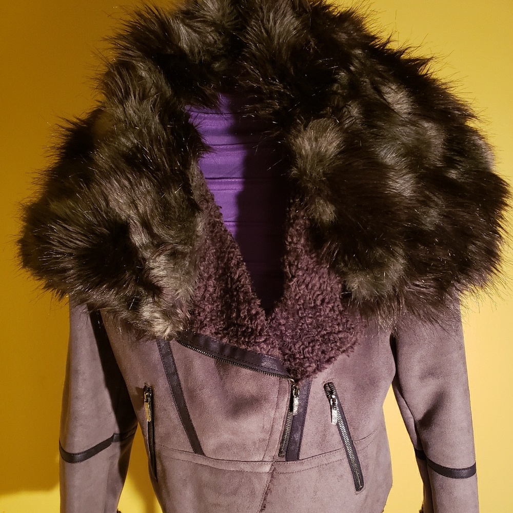 Jacket - Picture 4 of 5